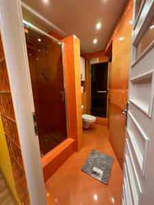 a bathroom with a shower and a toilet and a door at Large, luxury condo with sauna in Przemyśl +24 photos