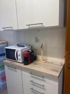 a microwave on a counter in a kitchen at Profumo di Mare 2 in Alcamo Marina +13 photos