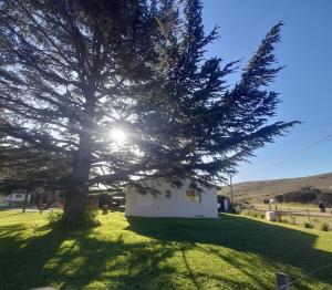 a tree in the middle of a yard with a house at Maika in Sierra de la Ventana
