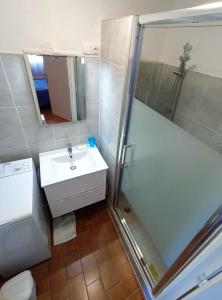 ein Bad mit einer Dusche, einem Waschbecken und einem Spiegel in der Unterkunft Apartment T2 sleeping corner 45 places beautiful view with balcony in Embrun