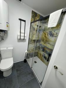 ein Bad mit einer Dusche und einem WC in der Unterkunft Apartamentos Bulevar in Valencia