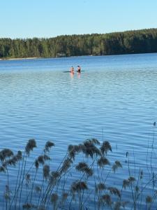 2 personnes nageant dans une grande étendue d'eau dans l'établissement Verlan Satumaa, à Verla