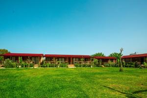 A garden outside Izgen Bungalows