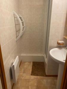 La petite salle de bains est pourvue d'une douche et d'un lavabo. dans l'établissement Ambiance montagne front de neige, à Thollon-les-Mémises