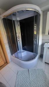 ein Badezimmer mit einer Dusche und einem Glasgehege in der Unterkunft Apartamentai AGNIJA in Kretinga + 27 Fotos