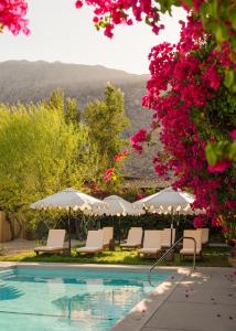 a swimming pool with chairs and pink flowers at Casa Cody in Palm Springs