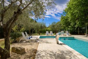 a swimming pool with lounge chairs and a tree at Villa Elizabeta in Pula