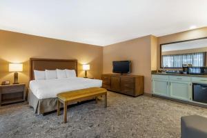 Habitación de hotel con cama y TV en Best Western Plus Inn Scotts Valley, en Scotts Valley
