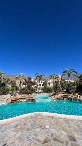 une grande piscine avec de l'eau bleue et des palmiers dans l'établissement Piattelli Wine Resort, à Cafayate