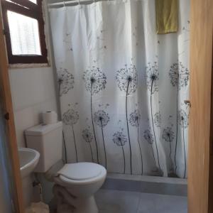 a bathroom with a toilet and a dandelion shower curtain at Dpto Lgolf club cerca de Estadio único in Santiago del Estero