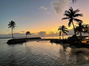 un grupo de palmeras en una playa con el océano en LA PLAYA - L'Appartement COZY - 2 à 5 personnes, en Sainte-Anne