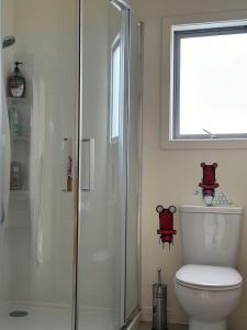 a bathroom with a toilet and a shower and a window at Sea views from sunny house in Wellington