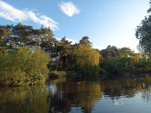 vista su un fiume con alberi sullo sfondo di Sean's home a Blackrock