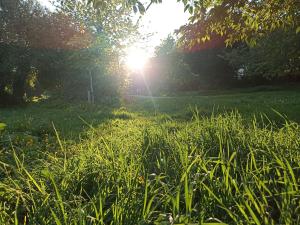 Giardino di Sean's home