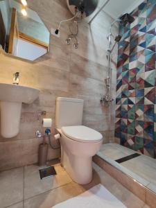 een badkamer met een toilet, een wastafel en een douche bij Champollion Palace in Caïro