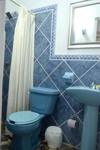 een badkamer met een blauw toilet en een wastafel bij Estancia Las Flores in San Blas