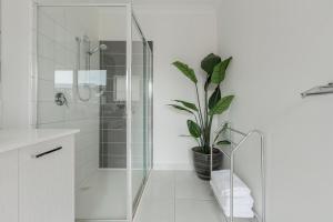 a bathroom with a shower and a potted plant at VAQUAY Contempo In Flemington in Melbourne