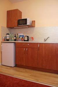 Kuchyň nebo kuchyňský kout v ubytování Černý Kocour Apart hotel