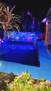 a stage in a garden at night with flowers at Kimara Tayrona Hostel in El Zaino