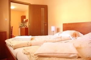 Postel nebo postele na pokoji v ubytování Černý Kocour Apart hotel