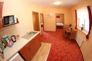 Kuchyň nebo kuchyňský kout v ubytování Černý Kocour Apart hotel