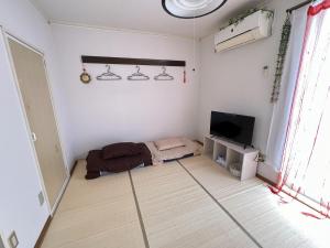 TV i/ili multimedijalni sistem u objektu AppleRoom高瀬駅前2B