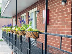 a row of potted plants on a brick building at Quality Lodge in Sandusky