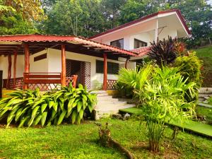 ein Haus mit Garten davor in der Unterkunft Caribbean Sea Towers Hotel in Puerto Viejo