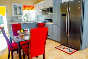 eine Küche mit einem Tisch und einem Kühlschrank aus Edelstahl in der Unterkunft Red Hassell Manor in Port Antonio