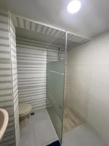 拉羅馬納的住宿－Hotel La Romana Center，带淋浴、卫生间和盥洗盆的浴室