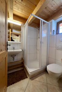 a bathroom with a shower and a toilet and a sink at Almhäuser Filzsteinalpe Almhaus 206 in Krimml