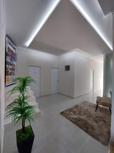 ein weißes Zimmer mit einer Topfpflanze und einer Couch in der Unterkunft Pousada Luz do Sol in Piranhas