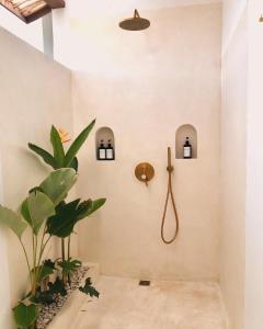 a bathroom with a shower with a plant in it at Luana Lombok in Selong Belanak