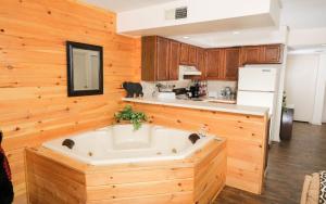 Kuchyň nebo kuchyňský kout v ubytování Falling Waters + 9 fotografií