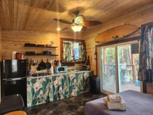 cocina con nevera y encimera en cabin 6 new cottage with private hot tub, en Fern Forest