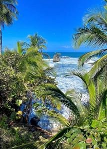 een uitzicht op een strand met palmbomen en de oceaan bij Finca Cristal con Piscina Room Blue in Puerto Viejo