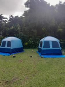 AfareaituRavehei smile relais 2 moorea的相册照片