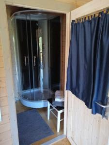 a shower in a room with a blue shower curtain at Rangi Suvemaja in Hiiumaa