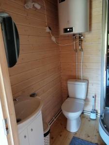 a bathroom with a toilet and a sink at Rangi Suvemaja in Hiiumaa