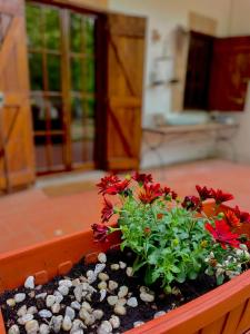 a planter with flowers and rocks in a room at B&B Notti Serene in Allumiere