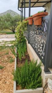 un giardino con piante su una ringhiera accanto a un portico di Green house a Dograde