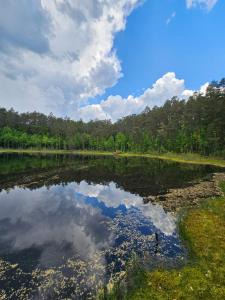 GałkowoにあるPrzystanek Gałkowoの木々が茂る大湖