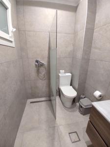 La salle de bains est pourvue de toilettes et d'une douche en verre. dans l'établissement Villa Melina, à Kalymnos