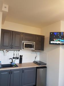 Η κουζίνα ή μικρή κουζίνα στο Capri apartament Mrzeżyno