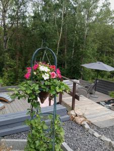 einen Korb mit rosa und weißen Blumen im Garten in der Unterkunft Kleines Landhaus in Stromberg