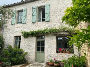 a stone house with green windows and potted plants at Le Coucou Montcuq in Montcuq