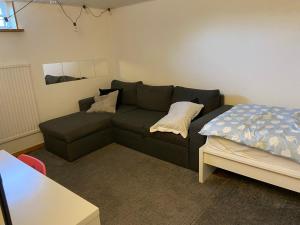 ein Wohnzimmer mit einem Sofa und einem Bett in der Unterkunft The Basement in Malmö