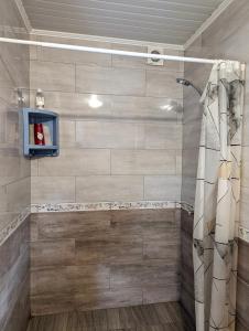 a bathroom with a shower with a shower curtain at Частный дом in Bălţi