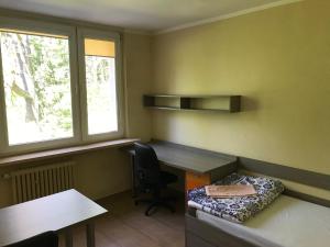 Posezení v ubytování Dom Studenta Pod Jeleniem
