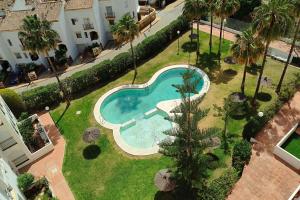 - une vue sur la piscine située dans une cour bordée de palmiers dans l'établissement Jabeque 1 Dormitorio, à Estepona